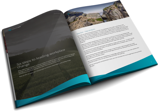 change-mgmt-ebook-eng-illustration