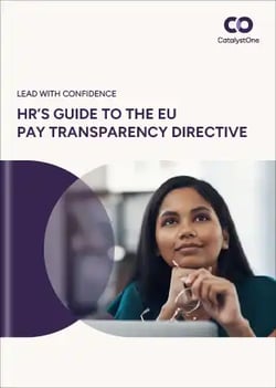 pay-trancparency-ebook-front-page-screenshot-small