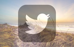 twitter-133258149-800x512