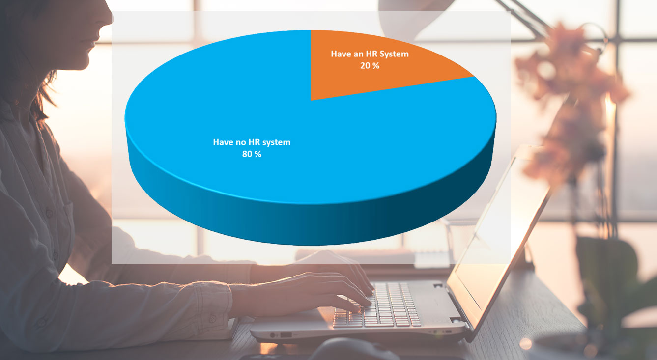 HR-System-Graf-smal.jpg