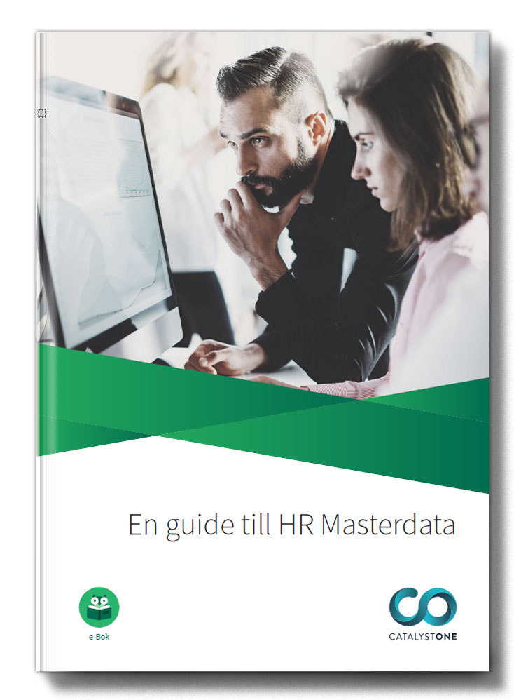 Guide till HR Masterdata