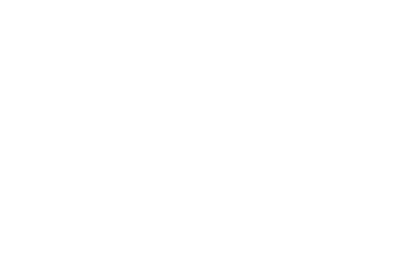 devoteam-catalystone-logo