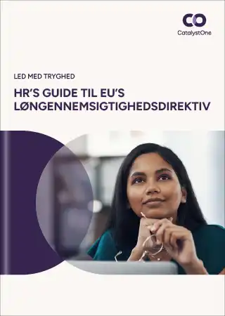 pay-trancparency-ebook-front-page-screenshot-small-dk