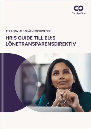 pay-trancparency-ebook-front-page-screenshot-small-se